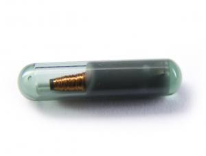 Glass T5 transponder chip